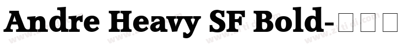 Andre Heavy SF Bold字体转换